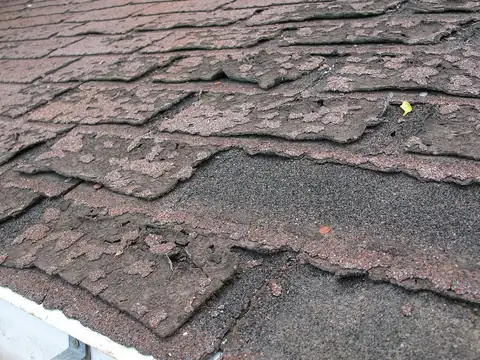 Old brown asphalt shingles worn down to the black mat, with curled and broken edges, above a white gutter
